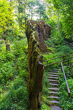 Growing Rock, Usterling