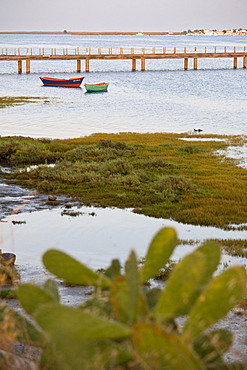 Laguna at the Ria Formosa, Quinta de Marim, Olhao, Algarve, Portugal