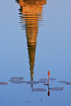 Lotus and Wat Sa Si reflecting in a pond, Sukothai Historical Park, Central Thailand, Asia