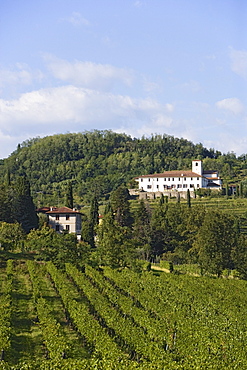 Rosazzo abbey, Friuli-Venezia Giulia, Italy