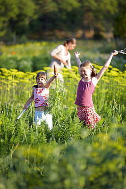 Woman and girls (6-9 years) in a vegetable garden, Lower Saxony, Germany