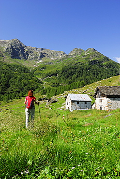 Woman hiking over mountain pasture with alpine huts, Valle Santa Maria, Ticino Alps, Canton of Ticino, Switzerland