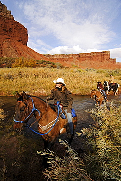 Horse riding, Torrey, Capitol Reef National Park, Utah, USA