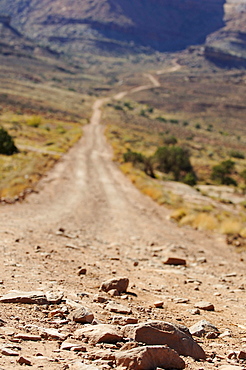 Dirt road, White Rim Trail, Moab, Utah, USA