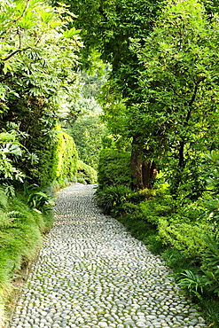 Stone way through a park, Lake Como, Lombardy, Italy