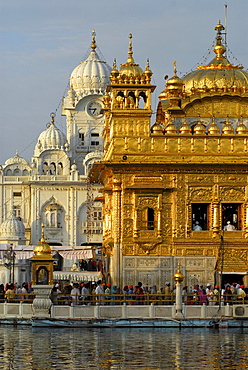 Golden Temple gleaming in the sunlight, Sikh holy place, Amritsar, Punjab, India, Asia