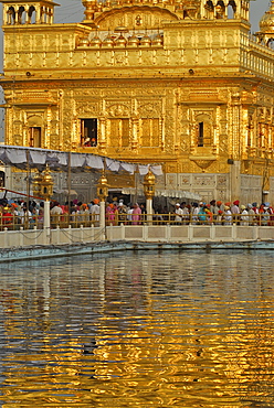 Pilgrims in front of the Golden Temple, Sikh holy place, Amritsar, Punjab, India, Asia