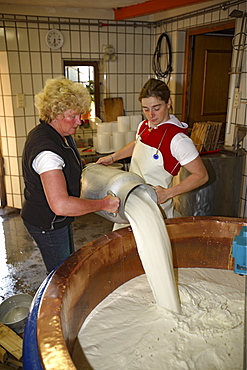 Producing cheese at the Laufbichl Alpe alpine dairy, Hintersteiner Tal, Bad Hindelang, Allgau, Swabia, Bavaria, Germany