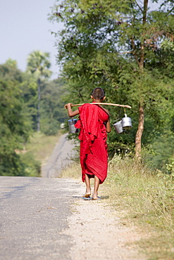 Young burmese monk carrying water tnks over his shoulders near Mount Popa, Myanmar, Burma