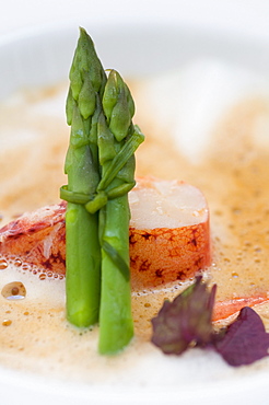 Lobster dish with green asparagus, Restaurant Villino, Lindau, Lake Constance, Germany