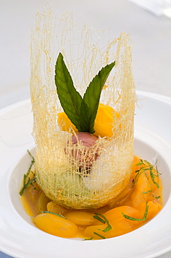 Sorbet variation on caramel and frosted apricots with mint, Restaurant Falconera, Oehningen-Schienen, Baden-Wuerttemberg, Lake Constance, Germany