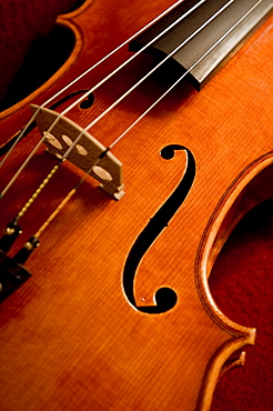 Close up of a violin, Cremona, Lombardy, Italy