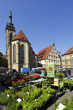 Flower market at Schiller Square, collegiate church in background, Stuttgart, Baden-Wurttemberg, Germany