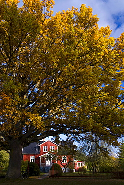 House in Gotland, Sweden, Scandinavia, Europe