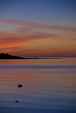 Sunset on Faro island, North coast, Gotland, Sweden, Scandinavia, Europe