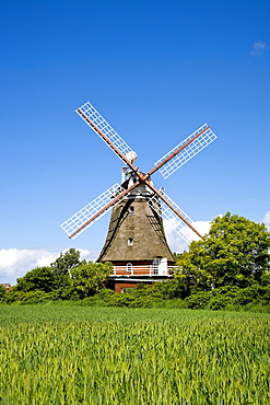 Windmill in Oldsum, Foehr island, North Frisian Islands, Schleswig-Holstein, Germany