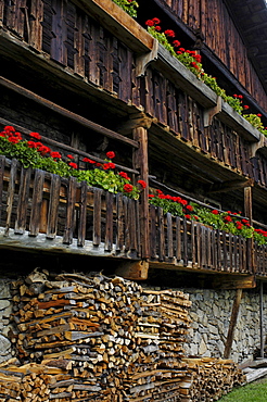 Balcony with geraniums, Farmhouse in the South Tyrolean local history museum at Dietenheim, Puster Valley, South Tyrol, Italy