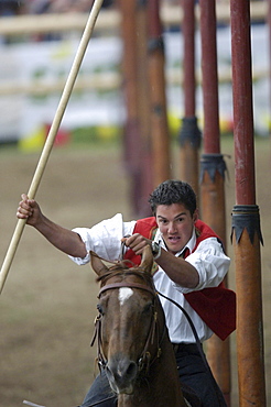 Tournament, Slalom, Oswald von Wolkenstein Ritt, Event 2005, Proesels castle, Voels am Schlern, South Tyrol, Italy