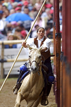 Tournament, Slalom, Oswald von Wolkenstein Ritt, Event 2005, Proesels castle, Voels am Schlern, South Tyrol, Italy