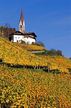 Vineyards with farmhouse and church, Schnauders, Eisacktal, South Tyrol, Italy