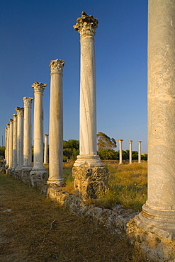 Antique Gymnasium, Palaestra, with columned courtyard, Archaeology, Salamis ruins, Salamis, North Cyprus, Cyprus