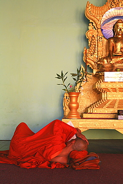 Reading buddhist monk at the Shwedagon Pagoda, Rangoon, Myanmar, Burma, Asia