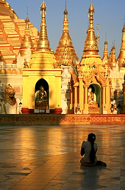 Praying buddhistic woman at the Shwedagon Pagoda in the evening, Rangoon, Myanmar, Burma, Asia