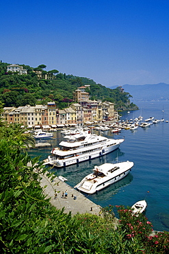 Motor boats at marina in the sunlight, Portofino, Liguria, Italian Riviera, Italy, Europe