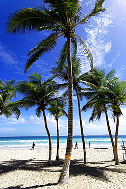 Playa El Aqua, Isla Margarita, Nueva Esparta, Venezuela