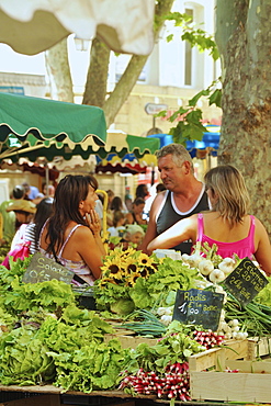 People on the market at the town hall, Aix-en-Provence, Provence, France, Europe