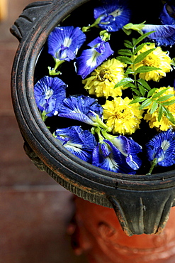 Flower arrangement at the Barefoot at Havelock Resort, Radha Nagar Beach, Beach 7, Havelock Island, Andamans, India