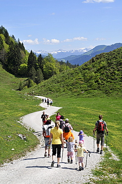 Family with children hiking near Scheffau at Wilder Kaiser, Tyrol, Austria