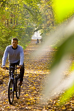 Cyclist in autumn wood, Rosental, Leipzig, Saxony, Germany