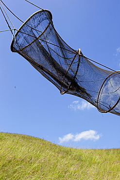 Weir for catching herring hanging in a meadow, Kaseberga, Ystad, Skane, South Sweden, Sweden