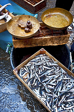 Fish market, Catania, Sicily, Italy