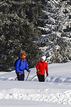 People hiking on winter hiking trail in snowy landscape, Hemmersuppenalm, Reit im Winkl, Chiemgau, Bavaria, Germany, Europe