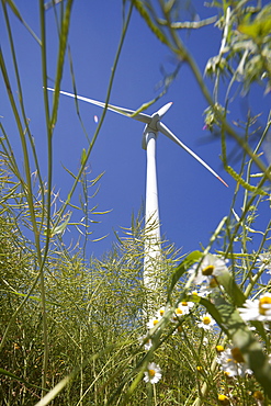 Wind turbine, Dithmarschen, Schleswig-Holstein, Germany