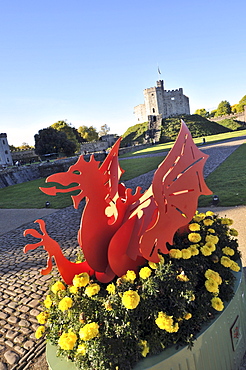 National symbol of Wales, the Welch dragon at Cardiff Castle, Cardiff, south-Wales, Wales, Great Britain