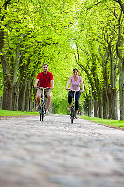 Young couple on a cycle tour, riding along a tree-lined path near Ahrensberg, Mecklenburgian Lake District, Mecklenburg-Pomerania, Germany