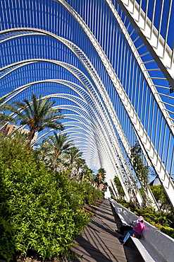 The Umbracle, landscaped walk with plant species indigenous to Valencia in Cuidad de las Artes y las Ciencias, City of Arts and Sciences, Santiago Calatrava (architect), Valencia, Spain