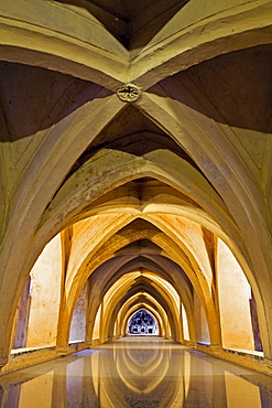 Los Banos de Dona MarÃŒa de Padilla, AlcÂ·zar of Seville, royal palace originally a Moorish fort, Seville, Spain