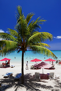 Palm trees and people on the beach in the sunlight, Pereybere, Mauritius, Africa