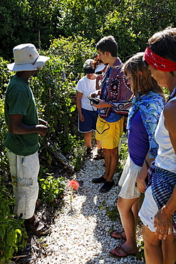 Tourists and guide on Chumbe Island, Zanzibar, Tanzania, Africa