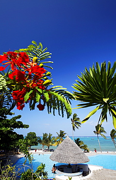 Pool of the Karafuu Resort on the waterfront, Dongwe, Zanzibar, Tanzania, Africa