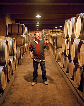 Vintner in the wine cellar, Bodega Dominio de Atauta, Castile and LeÃ›n, Spain