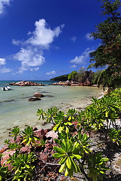 Sandy beach, Baie Ste Anne, Praslin, Seychelles, Indian Ocean