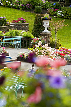 The botanical gardens in the village of Portmeirion, founded by Welsh architekt Sir Clough Williams-Ellis in 1926, Wales, UK