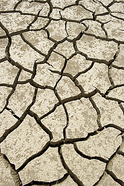 Cracked soil in a dried lake, Andalusia, Spain, Europe