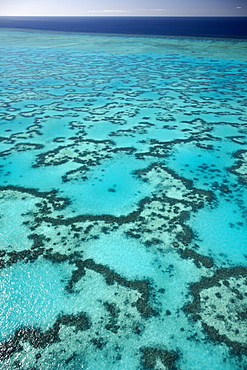 Coral around Heron Island from above, Great Barrier Reef Marine Park, UNESCO World Heritage Site, Queensland, Australia