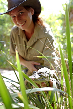 Ranger showing baby crocodile at Bungalow Bay Koala Village, Horseshoe Bay, northcoast of Magnetic island, Great Barrier Reef Marine Park, UNESCO World Heritage Site, Queensland, Australia